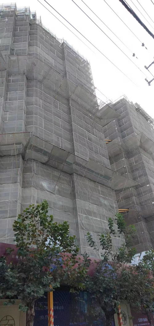 建筑建材企业商情 洞察市场脉搏，把握发展机遇